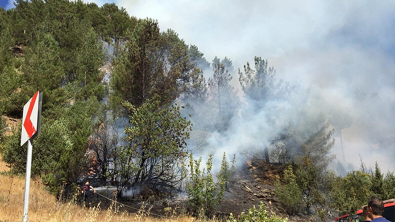 Kahramanmaraş’ta 40 hektar orman yandı!